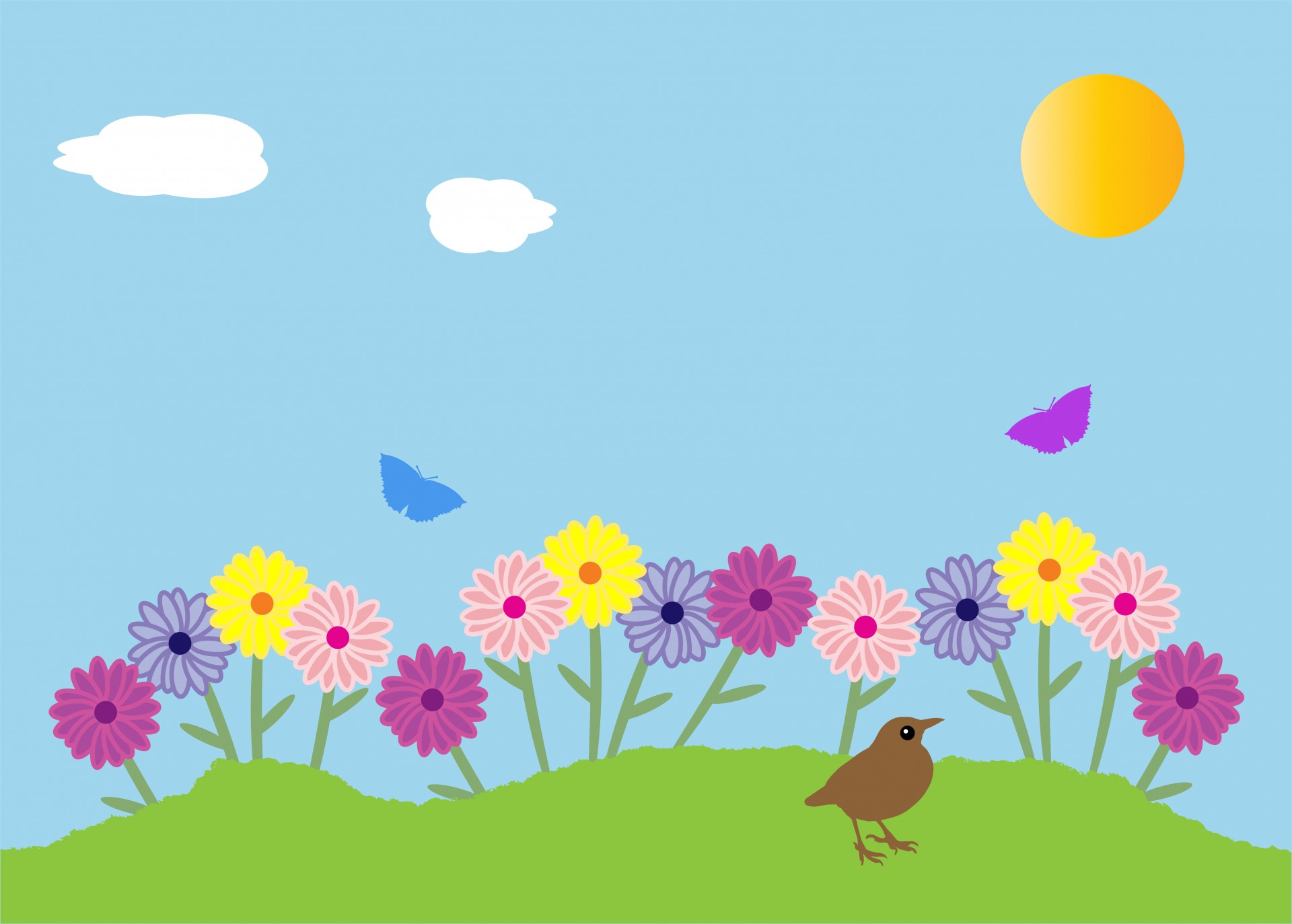 summer-garden-flowers-2919101230